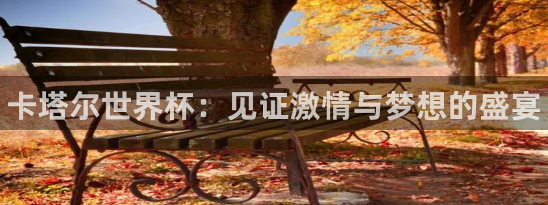 英足总杯直播:卡塔尔世界杯:见证激情与梦想的盛宴