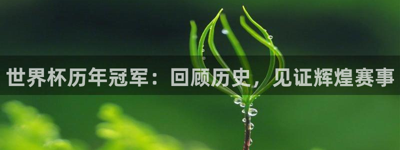 美国世界杯:世界杯历年冠军:回顾历史,见证辉煌赛事