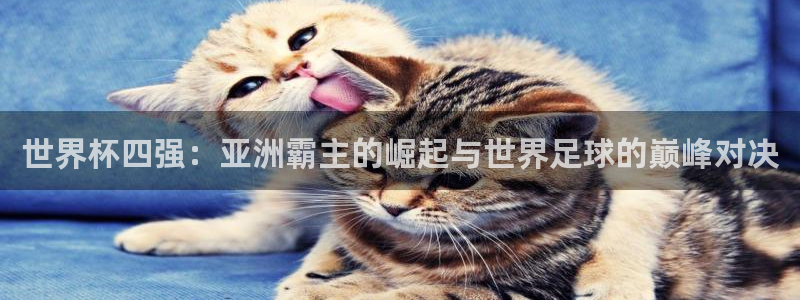 2026世界杯官网入口:世界杯四强:亚洲霸主的崛起与世界足球的巅峰对决