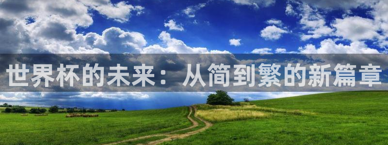 世界杯预选赛亚洲区积分榜:世界杯的未来:从简到繁的新篇章