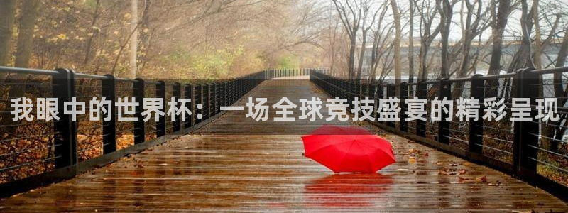 2026世界杯日期:我眼中的世界杯:一场全球竞技盛宴的精彩呈现